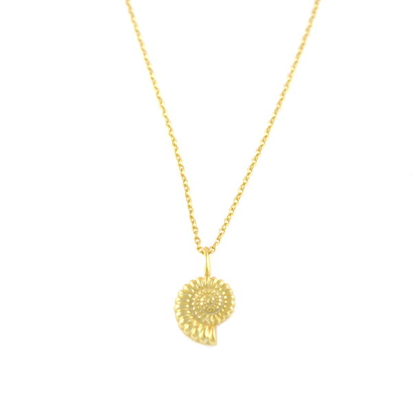 Εικόνα της SEA'S SHELL