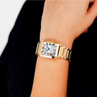 Εικόνα της FESTINA F20678